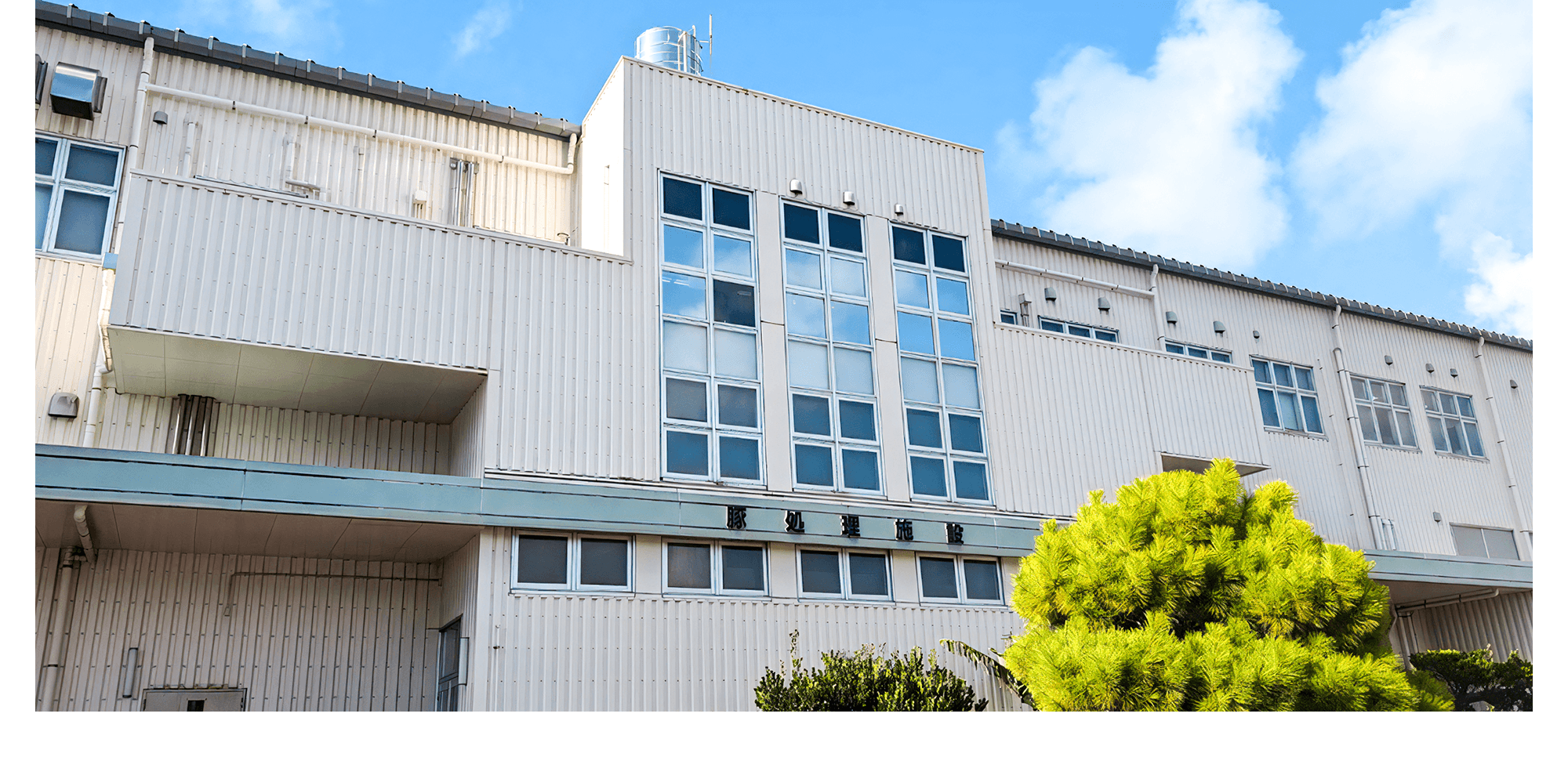 沖縄から美味しさを、心を込めて