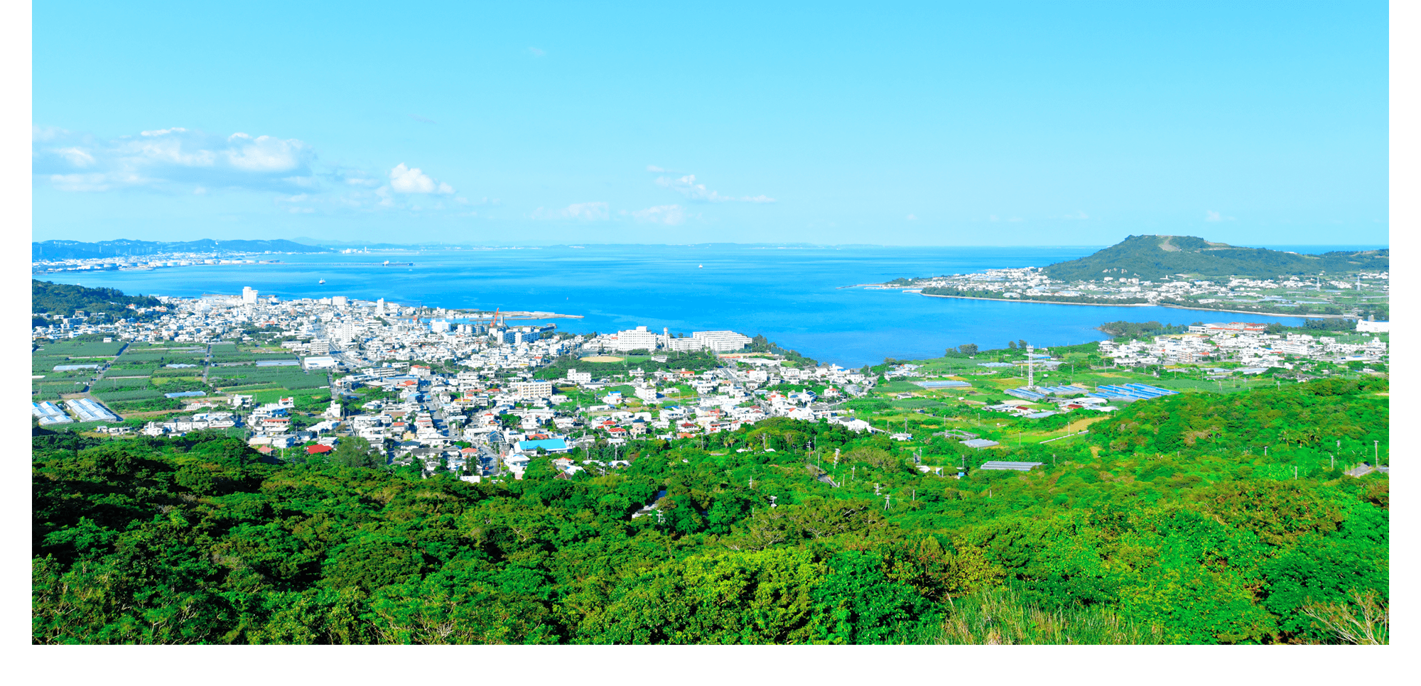 沖縄から美味しさを、心を込めて