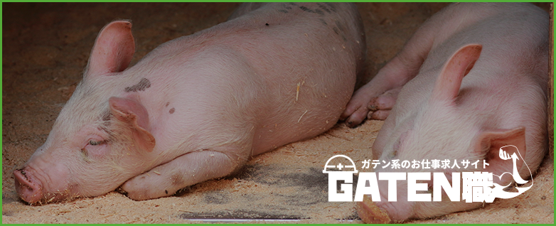 ガテン系お仕事求人サイト【GATEN職】