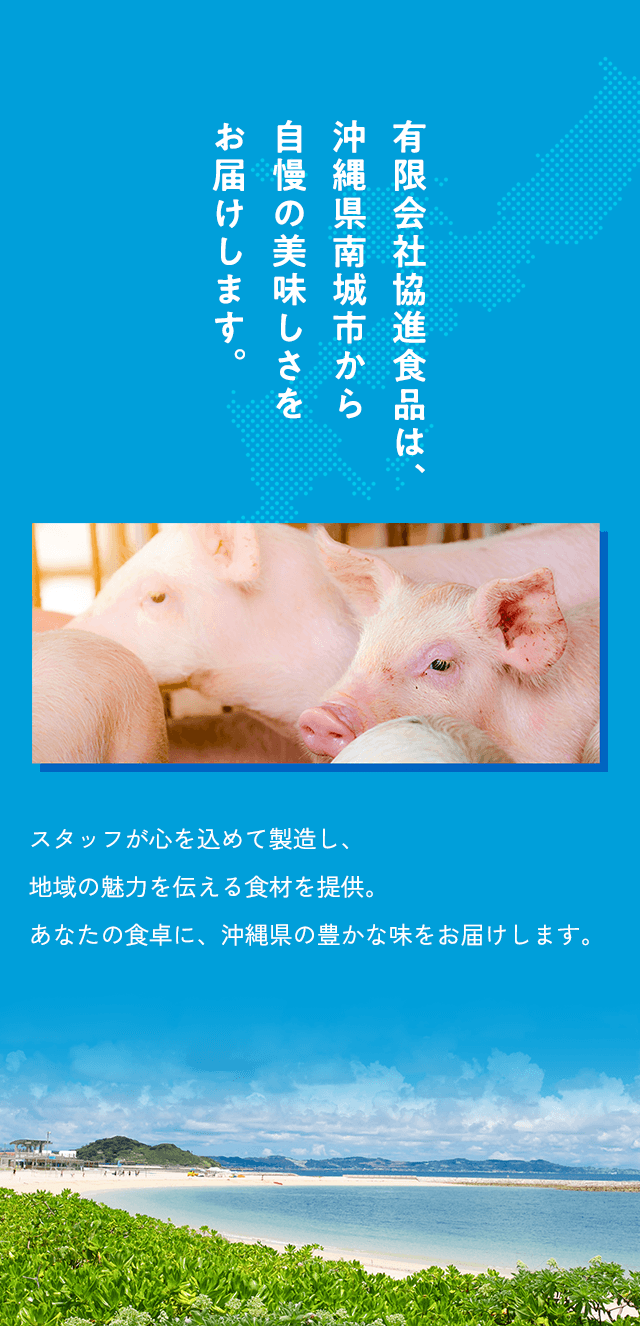 有限会社協進食品は、沖縄県南城市から自慢の美味しさをお届けします